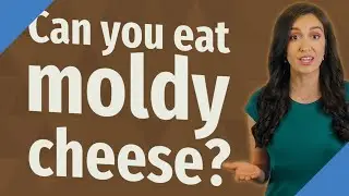 Can you eat moldy cheese?