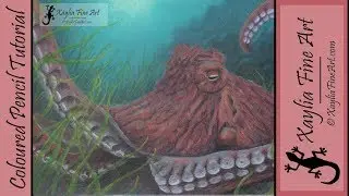 Coloured Pencil Tutorial: How to draw an octopus in coloured pencils using powder blender