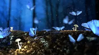 Сон. Защита во время сна.Развитие во сне.