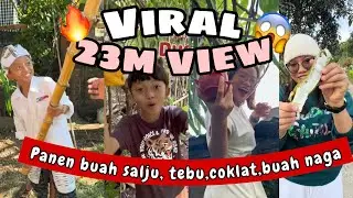 SEKUMPULAN VIDEO PANEN BERSAMA SI BONTOT TEMBUS 23M DI TIKTOK😱