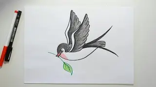 HOW TO DRAW A SWALLOW / BIRD DRAWING FOR KIDS