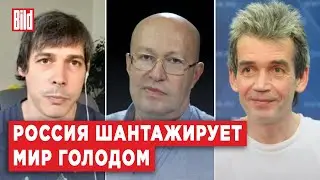 Соловей, Войтенко, Трещанин | Обзор от BILD