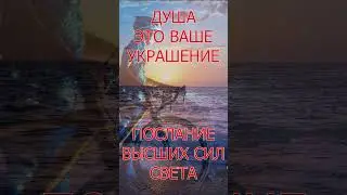 ДУША ЭТО ВАШЕ УКРАШЕНИЕ #shorts Ирина Белова