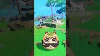 11 Genshin Characters smooth transitions  