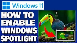 How To Enable Windows Spotlight Wallpaper in Windows 11 | Tips and Tricks Windows Tutorial