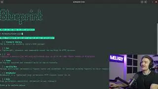 The BEST Tool To Start Programming in Go