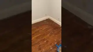 Hardwood over Carpet
