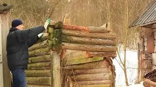 Log cabin near the forest. Remove rotten shed frozen into the ground. Cooking dinner on the fire