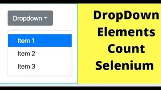 Selenium Tutorials - How Many Elements Presented In Dropdown