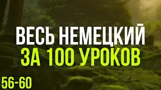 Весь Немецкий за 100 уроков. Немецкие слова и фразы. Немецкий с нуля. Немецкий язык. Часть 56-60