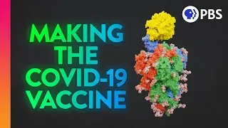 Inside the Lab That Invented the COVID-19 Vaccine