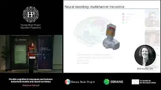 Adrienne Fairhall - Flexible cognition in macaques and humans: behavioral models (...)