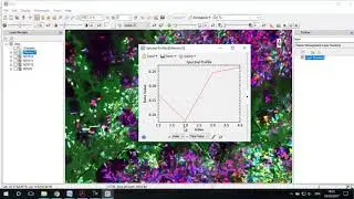 ENVI Layer Stack Raster