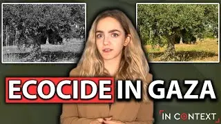 Israel Is Committing Ecocide in Gaza: Destruction of the Environment