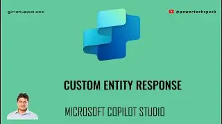 How to use Custom Entity and extract message text posted by user in Microsoft Copilot Studio?