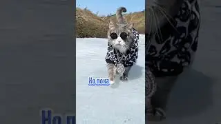 Снежинка, снежинка | девочка с картинки 