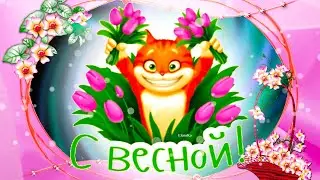 С весной! Тебе букетик! Желаю счастья! - Музыкальная открытка с пожеланиями для друзей!