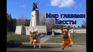 Мир глазами Бэссты на Волге и Памятнике Татищеву