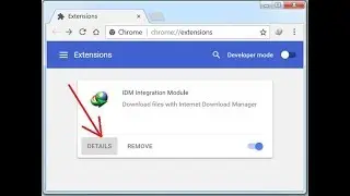 How to Fix IDM Extensions & Not Showing On Google Chrome