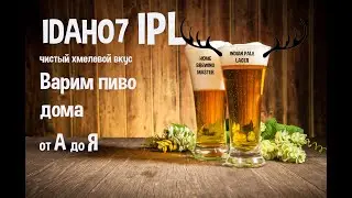 IDAHO7 IPL. Индиан Пейл Лагер. Варим пиво дома.