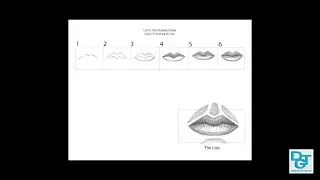 Drawing the Lips