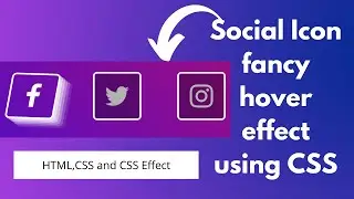 Social Icon fancy hover effect using CSS,HTML | NSCODE