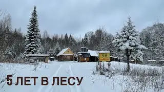 Целый участок в глубинке леса со всеми удобствами | Пришла зима | Новое зимовье | 5 лет в лесу [ч.2]