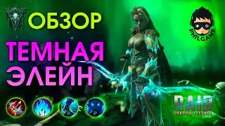 Темная Элейн обзор | RAID: Shadow Legends