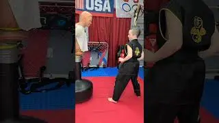 Hawk Switching Over to Taekwondo?? 