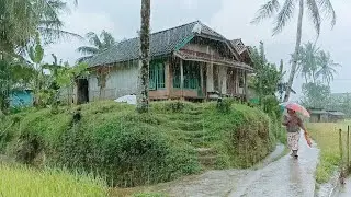 HUJAN LEBAT GEMURUH GUNTUR DI PEDESAAN. KAMPUNG INDAH HAPUS INSOMNIA, SUASANA PEDESAAN JAWA BARAT