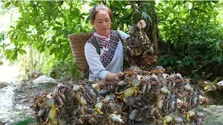 Vang Hoa goes into the green forest to earn money to cure stage 2 liver disease for ,zon