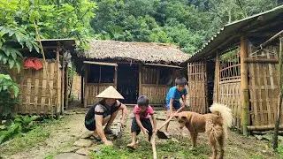 Cleaning the grass in the front yard - taking care of the banana garden - everyday life