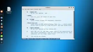 Linux Basics: How to Open and Search Manuals (man)