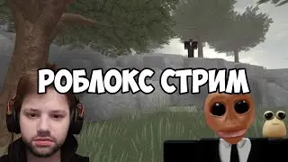 🥶СТРИМ ПО ROBLOX🥶