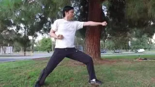 Sal Redner - Kung Fu Training - Wushu Online Distance Education Course