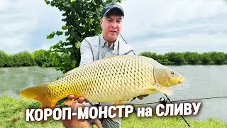 ЛОВЛЯ КОРОПА на ПРОСТІ СНАСТІ