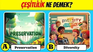 YDS'ye Ne Kadar Hazırsın? | Gerçek Zamanlı Bilgi Yarışmasıyla Kendini Test Et!