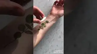 Временные татуировки «Пионы и розы» / Процесс нанесения / 2SKIN