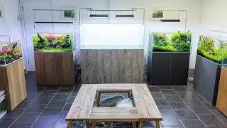 Aquascaping Showroom Update Tour, New Scapes + Aquascaper 1500 Re-Scape!