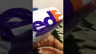 Se llegó paquete de Fedex a Piura