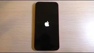 iPhone 13 Bootanimation