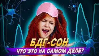 Что такое фаза быстрого сна