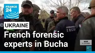 French forensic experts in Bucha to help Ukraine investigate possible war crimes • FRANCE 24