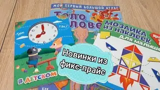 Новинки в Фикс прайс 2023. Что купила ребенку👍👍👍😊