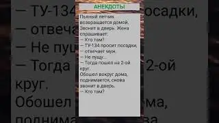 Пьяный летчик возвращается домой... #анекдоты #приколы #шутки