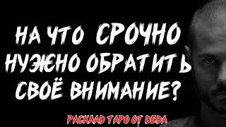 ⚠️ НА ЧТО СРОЧНО НУЖНО ОБРАТИТЬ СВОЁ ВНИМАНИЕ? Таро расклад на важные сигналы ❤️ Гадание на таро