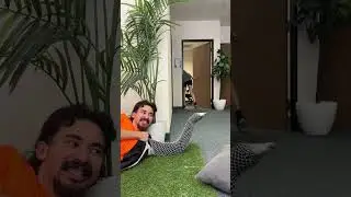 A fake snake prank idea is come up to scare this woman #Shorts