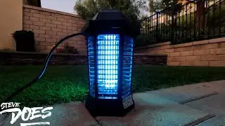 Testing Out Amazon's Most Popular Bug Zapper