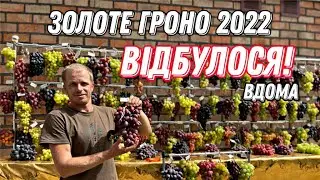 Золоте Гроно України 2022р.