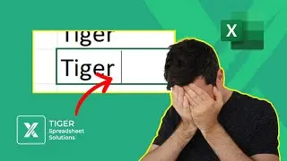 How To Remove Spaces in Excel (When TRIM Doesn’t Work!)